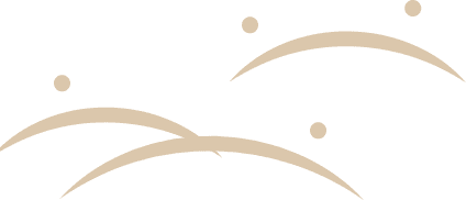 object